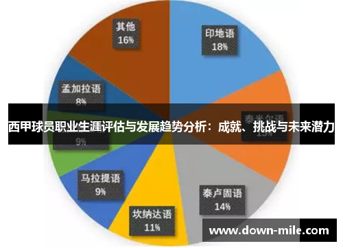 西甲球员职业生涯评估与发展趋势分析：成就、挑战与未来潜力