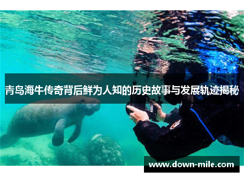 青岛海牛传奇背后鲜为人知的历史故事与发展轨迹揭秘
