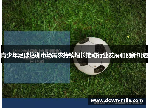 青少年足球培训市场需求持续增长推动行业发展和创新机遇