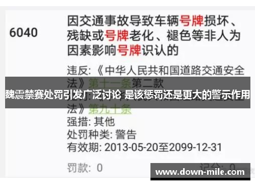 魏震禁赛处罚引发广泛讨论 是该惩罚还是更大的警示作用