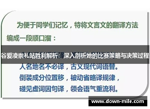 谷爱凌崇礼站胜利解析：深入剖析她的比赛策略与决策过程