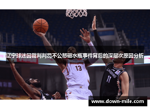 辽宁球迷因裁判判罚不公怒砸水瓶事件背后的深层次原因分析