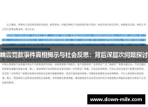 魏震罚款事件真相揭示与社会反思：背后深层次问题探讨
